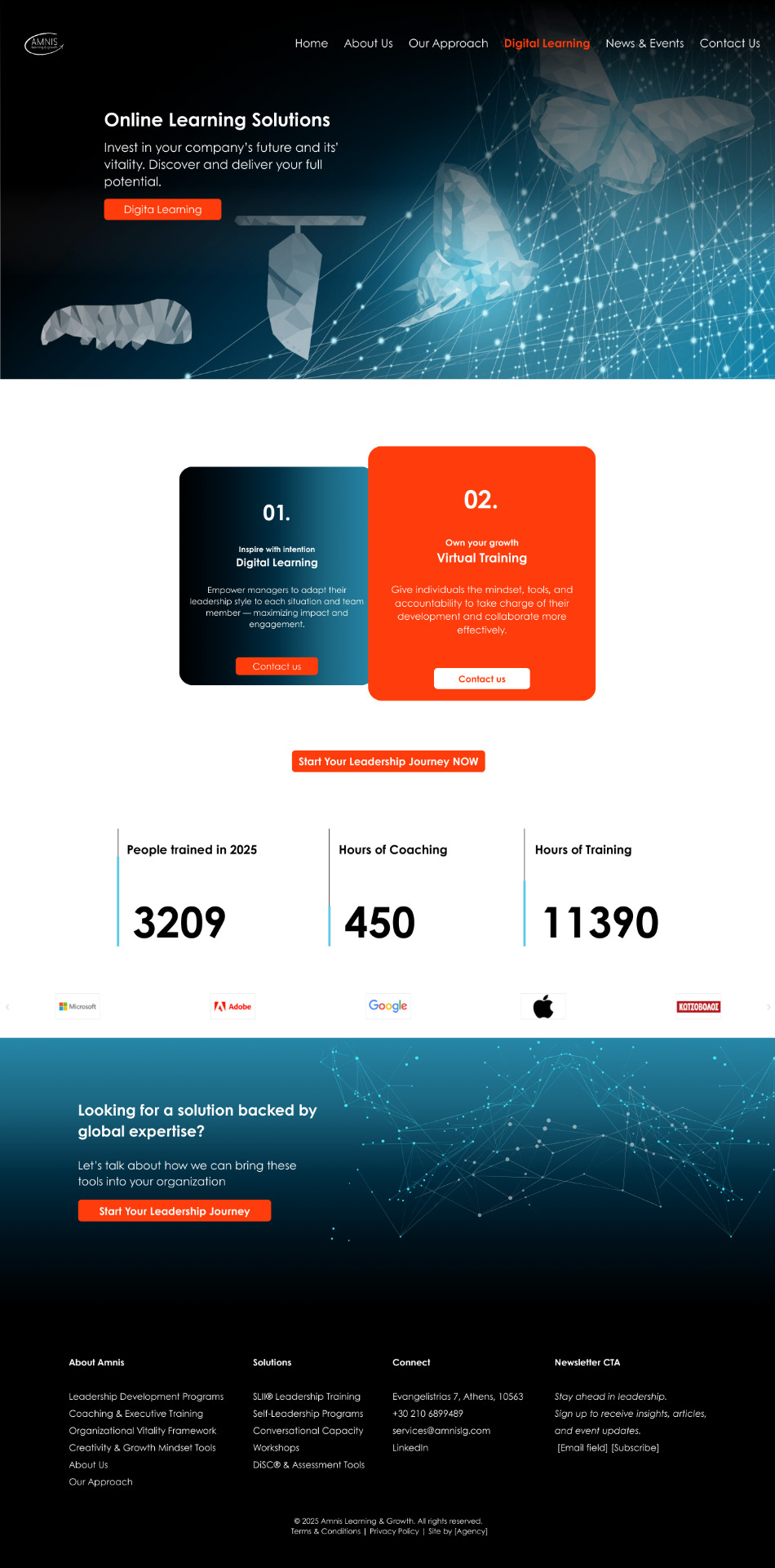 Amnis Online Learning Solutions